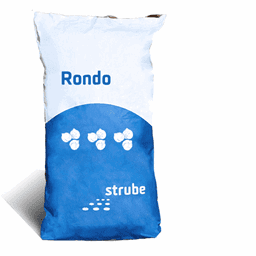 Zeige Details für Rondo Bild von Rondo